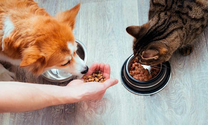 Categoría Alimento para mascotas